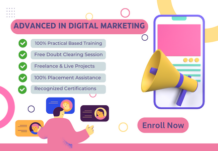 Advanced In Digital Marketing